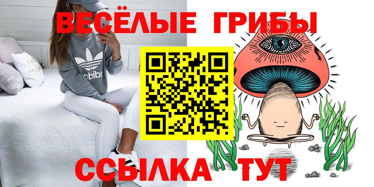 Галлюциногенные грибы Psilocybe  Вход с VPN  Шелехов 
